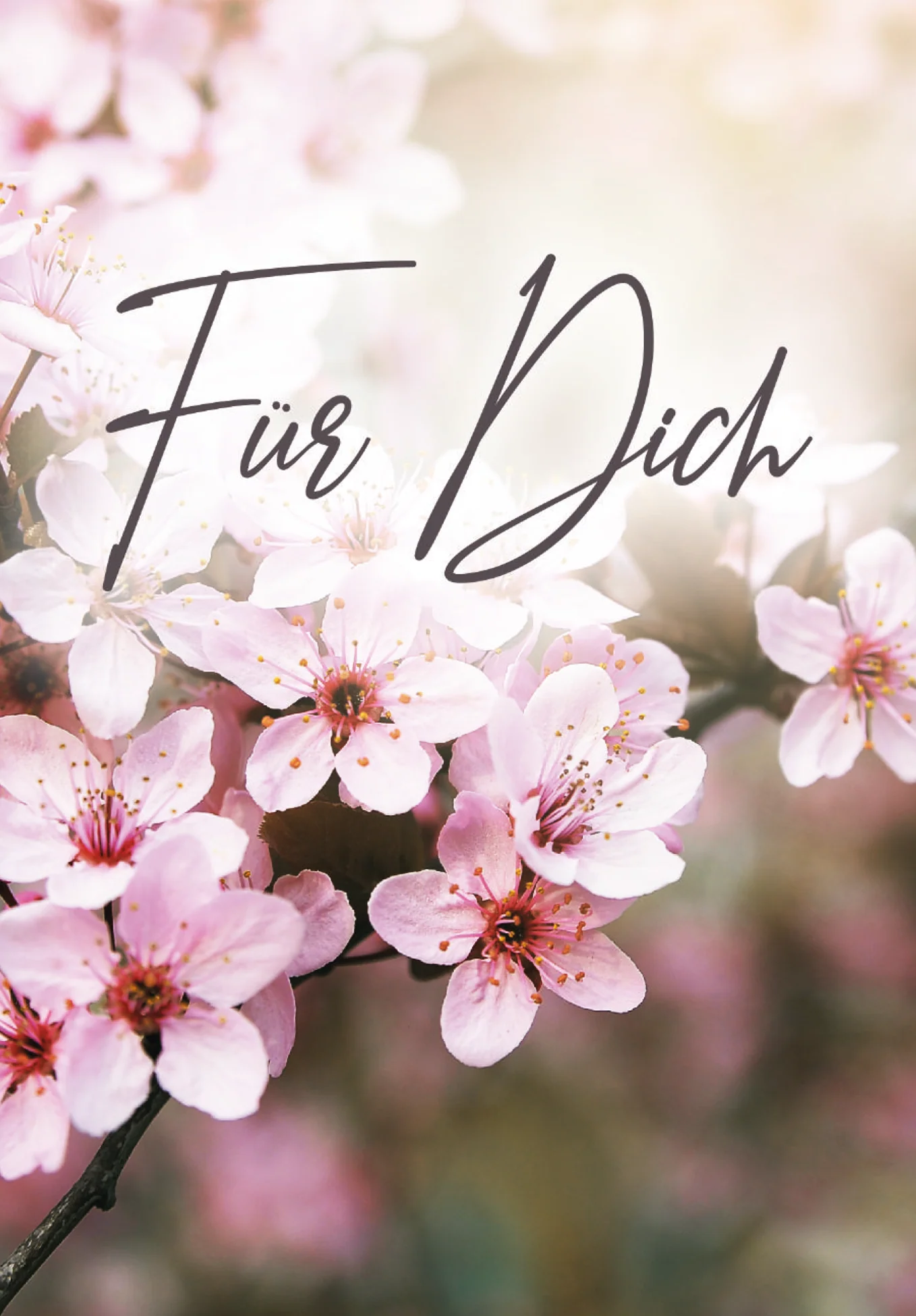 Für Dich - Kirschblüten PDF - Image 2